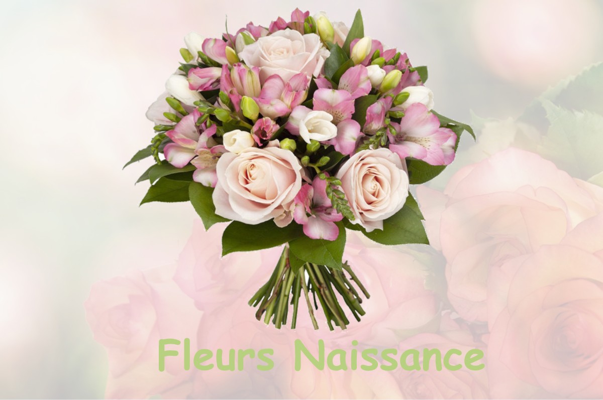 fleurs naissance CHESNOIS-AUBONCOURT
